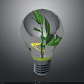 Green Plant Growing Inside Transparent Light Bulb With Fresh Green Leaves And Soil At The Bottom
