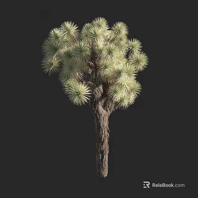 Tall Tree With Green Foliage And Brown Textured Trunk In Natural Environment 3d model 