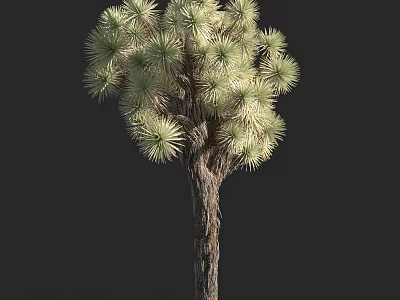 Tall Tree With Green Foliage And Brown Textured Trunk In Natural Environment 3d model