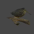 Small Detailed Bird Perched On Wooden Log Against Light Brown Background