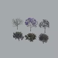 Different Species of Flowering Trees with Lush Foliage and Vibrant Blooms for Garden Landscape Design