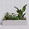 Bonsai Potted Plants In Rectangular Gray Planter With Diverse Greenery And White Wall Circular Patterns 3d model