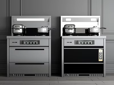 Modern Stainless Steel Kitchen Appliances Two Stoves with Pots Drawers and Black Panels 3d model