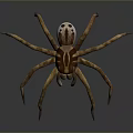Realistic 3D Spider Model With Brown Yellow Stripes And Multiple Legs On Gray Background 3d model