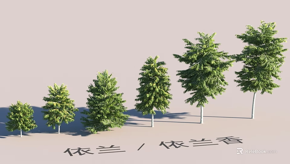 Garden Landscape Design With Ylang Ylang Trees of Various Sizes and Growth Stages 3d model 