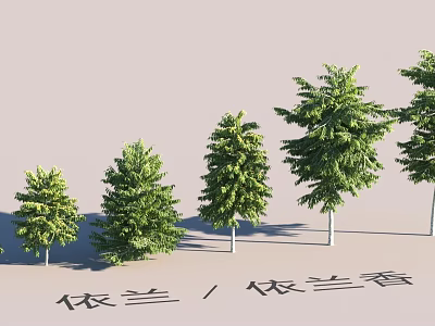 Garden Landscape Design With Ylang Ylang Trees of Various Sizes and Growth Stages 3d model
