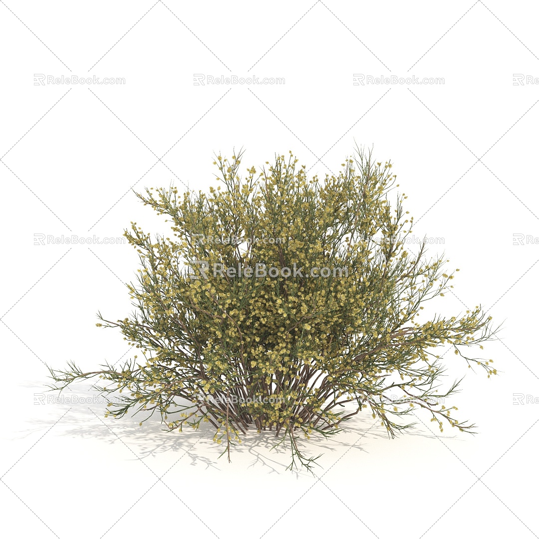 shrubs flowers plants green plants flowers 3d model