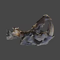 Ancient Animal Skull Fossil With Large Fangs And Detailed Bone Structure