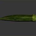 Fresh Green Okra Vegetable a Nutritious Ingredient for Healthy Cooking Dishes