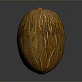 Whole Ripe Orange Cantaloupe Displaying Ribbed Texture on Smooth Shiny Surface