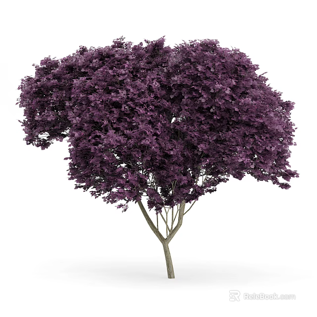 Lush Arbor With Deep Purple Foliage And Slender Brown Trunk 3d model 