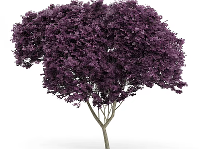 Lush Arbor With Deep Purple Foliage And Slender Brown Trunk 3d model