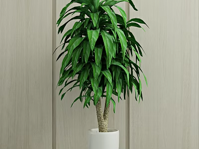 Modern potted green plant 3d model