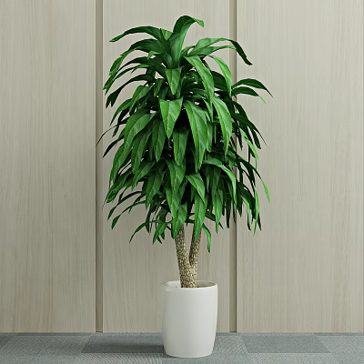 Lush Green Indoor Potted Plant In White Ceramic Pot Against Light Wooden Wall 3d model