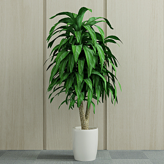 Modern potted green plant 3d model