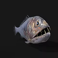 Deep Sea Aquatic Animal Fish With Large Eyes Sharp Teeth And Unique Grey Body