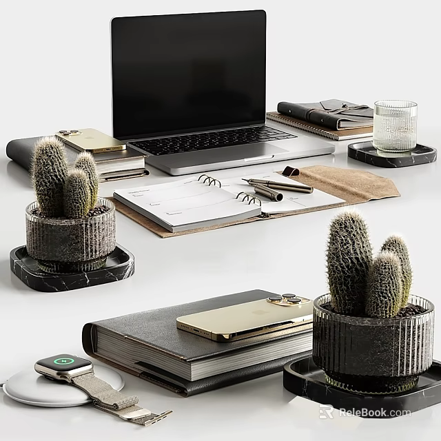 Modern Laptop On White Desk With Notebooks Cactus Plants Marble Coasters Gold Phone Case 3d model 