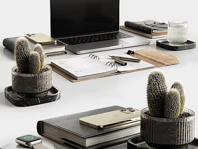 Modern Laptop On White Desk With Notebooks Cactus Plants Marble Coasters Gold Phone Case 3d model