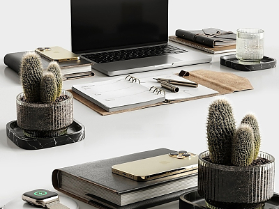 Modern Laptop Office Supplies Potted Cactus Pen Notebook model