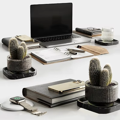 Modern Laptop On White Desk With Notebooks Cactus Plants Marble Coasters Gold Phone Case 3d model
