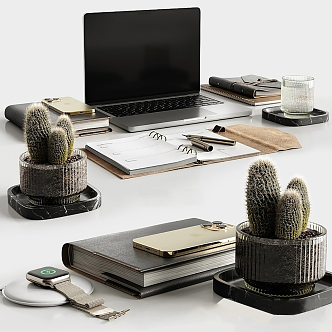 Modern Laptop Office Supplies Potted Cactus Pen Notebook 3d model