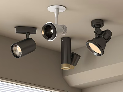 Modern Adjustable Downlights And Spotlights With Ceiling Mounted Design And Black White Finish 3d model