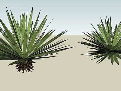 Vibrant Green Shrubs Featuring Long Spiky Leaves in Light Colored Setting 3d model