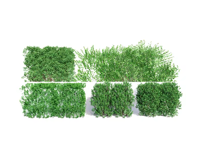 Various Well Trimmed And Natural Growth Shrubs For Garden Landscaping Design 3d model