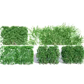 Various Well Trimmed And Natural Growth Shrubs For Garden Landscaping Design