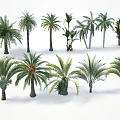 Exotic Arbor Trees Collection With Various Species And Lush Green Foliage On White Background