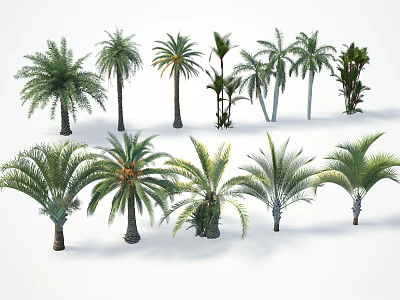 Exotic Arbor Trees Collection With Various Species And Lush Green Foliage On White Background 3d model