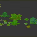 Vibrant Green Plants With Various Leaf Shapes And Sizes On Gray Background