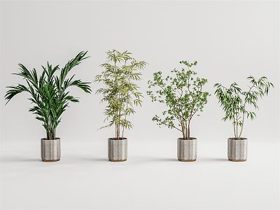 Modern potted plant potted landscape tree 3d model