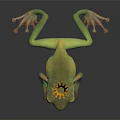 Green Frog Wearing Golden Crown With Red Gemstones On Dark Surface
