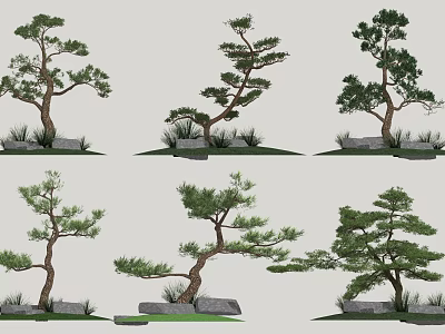 Variously Shaped Landscape Trees With Curved Trunks And Stone Grass Decorations 3d model