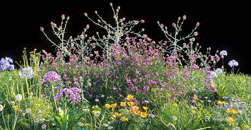 Colorful Garden Flowers Growing With Purple Blooms And Yellow Petals In Greenery 3d model 