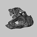 Ancient Dinosaur Skull Fossil With Detailed Bone Structure And Sharp Teeth 3d model