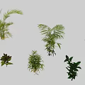 Garden Landscape Design Featuring Diverse Lush Green Plants And Decorative Foliage