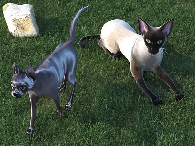 Dog Animal Poultry 3d model Dog Animal Poultry 3d model