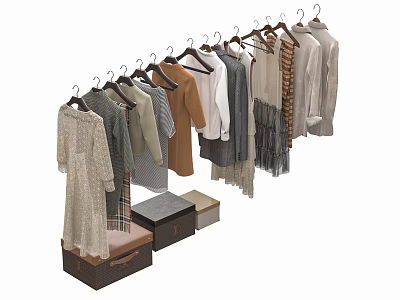 Neatly Arranged Various Styles Of Clothes Hanging On Hangers With Storage Boxes 3d model