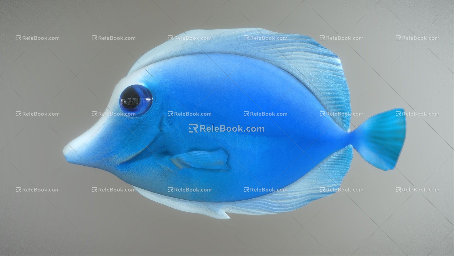 Modern Fish 3d model