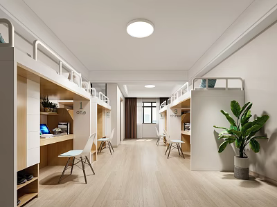 Modern Student Dormitory Room With Bunk Beds Desks Cabinets Chairs And Green Plant 3d model
