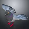 Detailed Pigeon With Spread Wings Gray And Purple Feathers Red Feet And Yellow Eyes