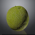 Fresh Ripe Cantaloupe With Vibrant Green Netted Skin On Dark Surface