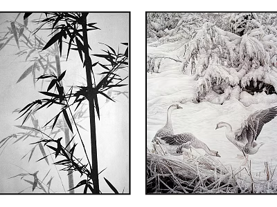 Black and White Botanical Paintings with Bamboo and Snowy Plant Scenes 3d model