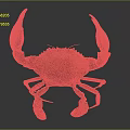 Realistic Giant Crab With Large Orange Claws And Green Shell On Dark Background
