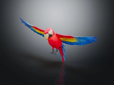 Vibrant Red Blue Yellow Macaw Spreading Wings on Dark Background with Reflection 3d model