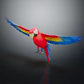 Vibrant Red Blue Yellow Macaw Spreading Wings on Dark Background with Reflection 3d model