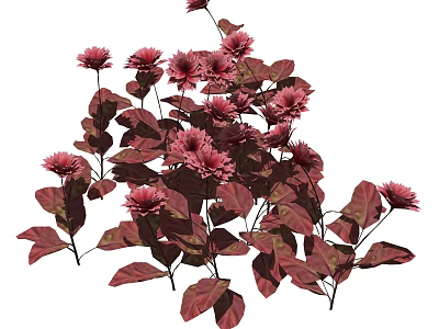 Vibrant Red Flowers With Dark Green Leaves In Fresh Blooming Cluster 3d model