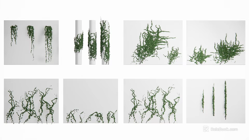 Green Decorative Vines With Hanging And Climbing Growth Styles For Indoor Use 3d model 